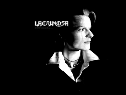 Lacrimosa高清壁纸