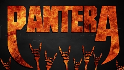 Pantera图片