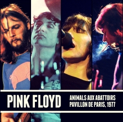 Pink Floyd高清壁纸
