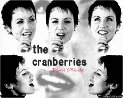 The Cranberries 小红莓高清大图